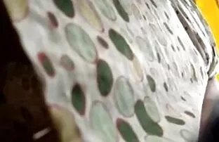 شابة سمراء ارضاء افلام اجنبية جنسية مترجمة شريك لا تنسى الجنس