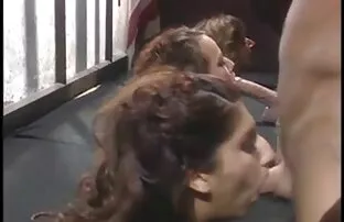 رجل ينقذ افلام سكس أجنبية مترجم فتاة استمناء مع مذهلة الديك