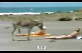 ناضج افلام اجنبيه مترجمه جنس ابن أخت ل دهن فتاة